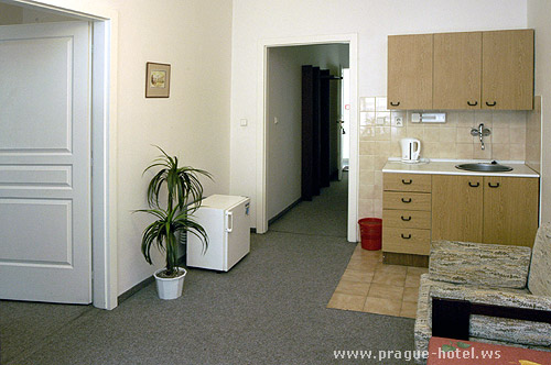 hotel Aparthotel Gregory (b�val� hotel Olea) praha