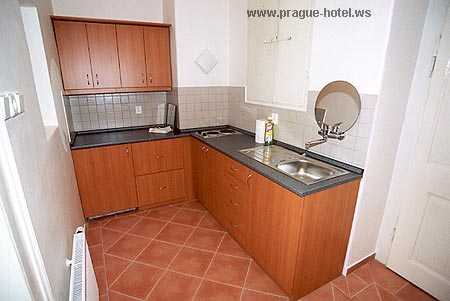 pension D�m U T�� housli�ek praha